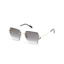 CT0466S 001 Sunglasses