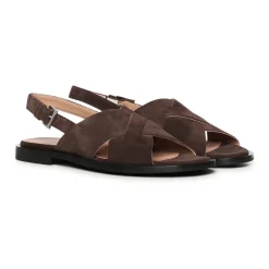 Etoile Cross Mousse 26E