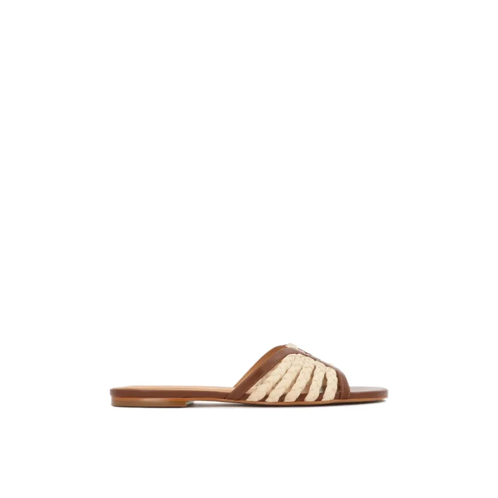 GERI Slide
