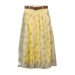 Lente Rok