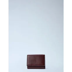 Mini Paddington Tri-Fold Wallet