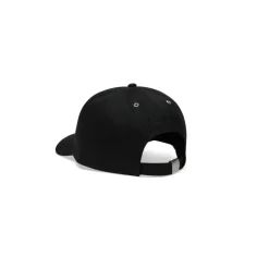 Solid Cap Turtle Embroidery